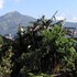 backpackers home
