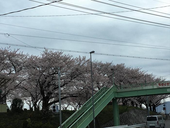 guesthouse kiten hostel