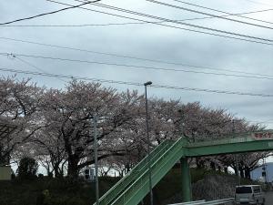 guesthouse kiten hostel