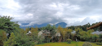 Da Vinci Gorilla Lodge,Kinigi>>Kabale,4 star