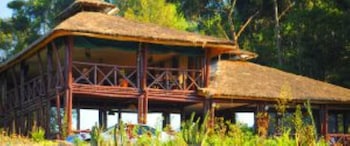 Da Vinci Gorilla Lodge,Kinigi>>Kabale,4 star