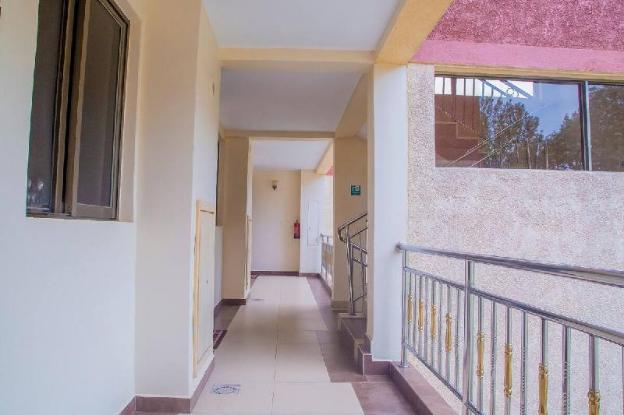 rohi apartments