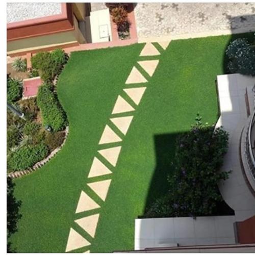 rohi apartments