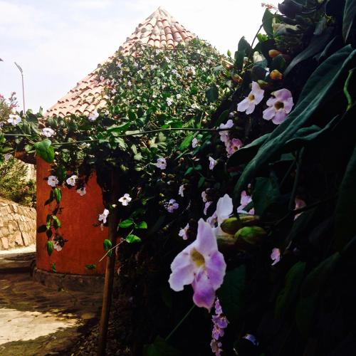 rwiza village