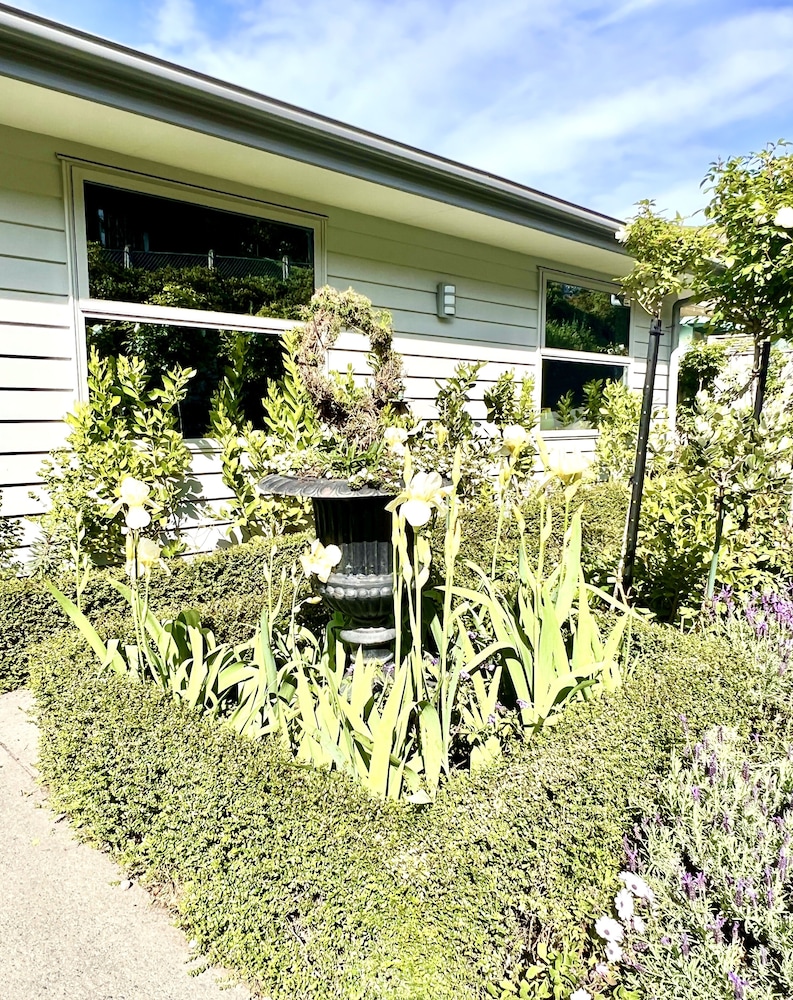 lyttelton boatique house