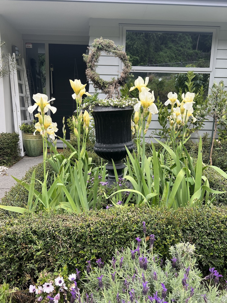 lyttelton boatique house