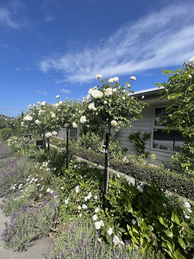 lyttelton boatique house