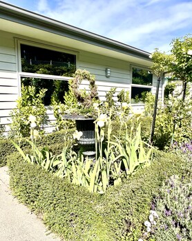 lyttelton boatique house