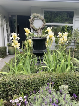 lyttelton boatique house