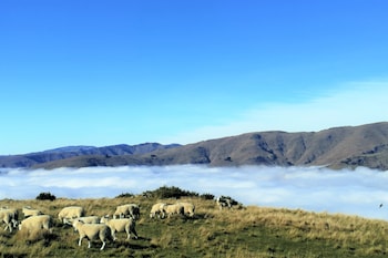 lyttelton boatique house