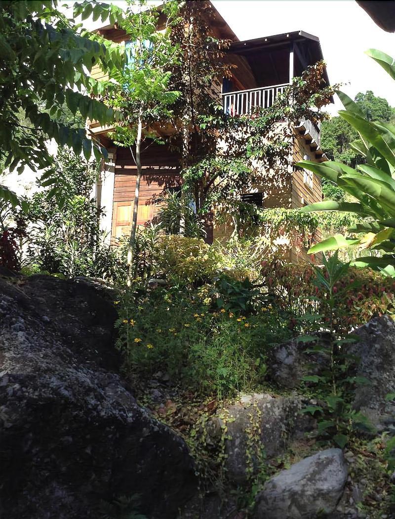 rafjam bed and breakfast