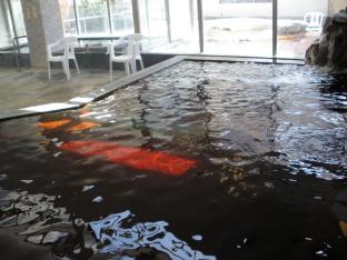 kashima central hotel