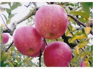 kagetsu highland hotel