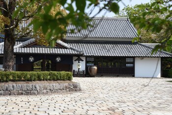 hamamatsu