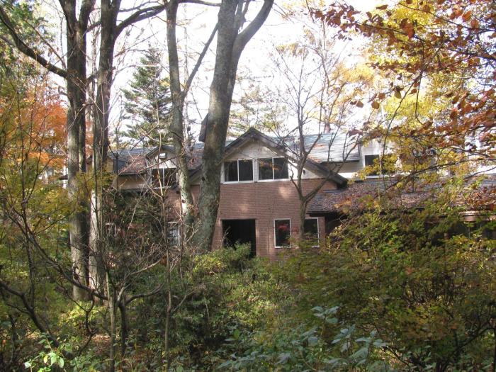 la forest de nome karuizawa