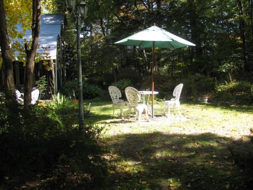 la forest de nome karuizawa