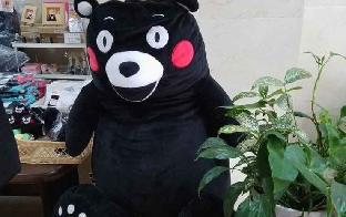 hotel crown hills kumamoto