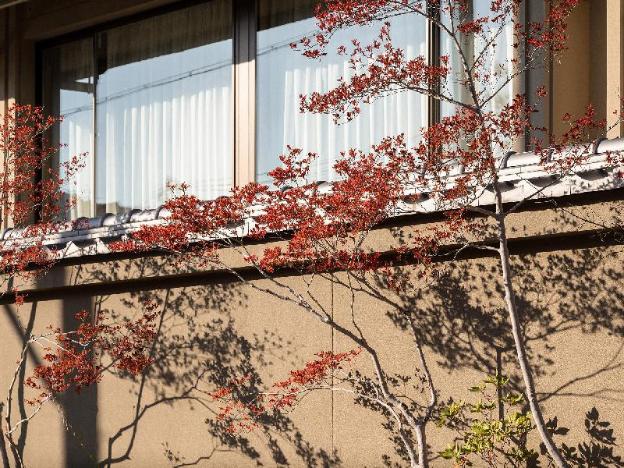 hotel the celestine kyoto gion