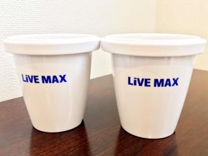 hotel livemax kayabacho