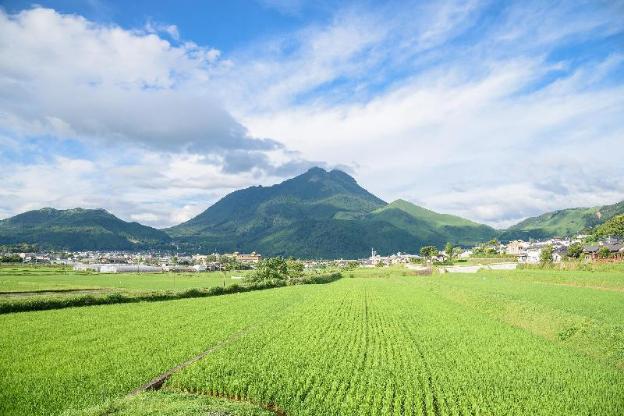 yufuin luxury villa zakuro