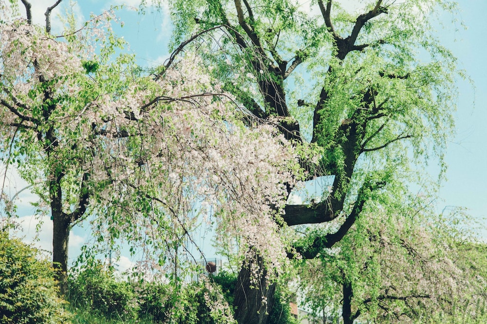 len kyoto kawaramachi