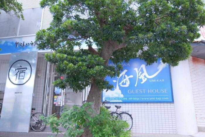 guest house umikaji hostel