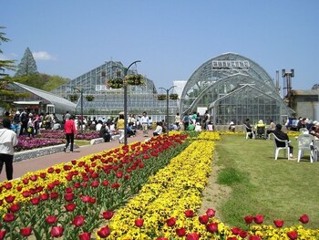 iwaki