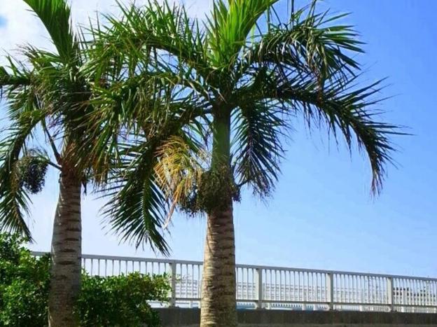 guesthouse nandeyanen hostel