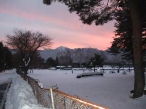 gasthof ascot