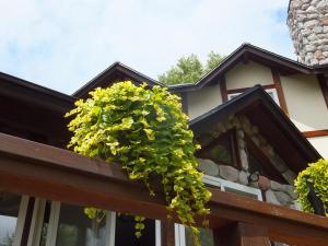 gasthof ascot