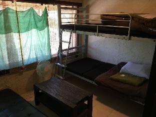taketomijima guesthouse and jetaime hostel