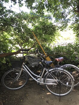 taketomijima guesthouse and jetaime hostel