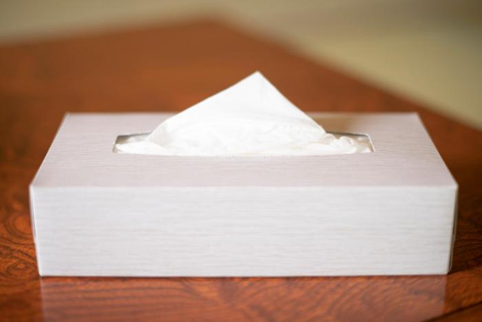 yamanakako ryokan ryozan