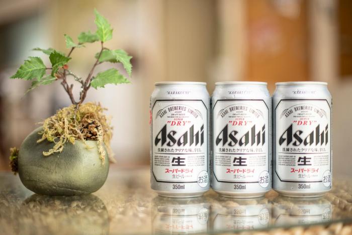 yamanakako ryokan ryozan