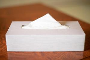 yamanakako ryokan ryozan