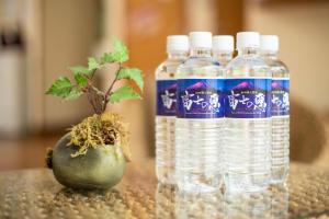 yamanakako ryokan ryozan