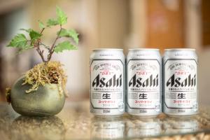 yamanakako ryokan ryozan