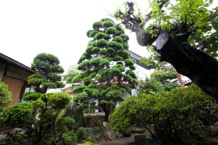 guest house kura hostel