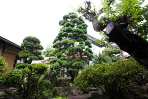 guest house kura hostel
