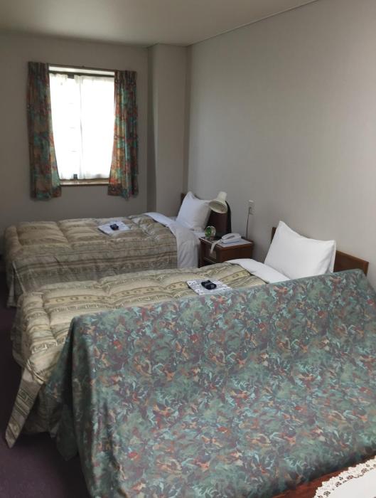 shinseto station hotel