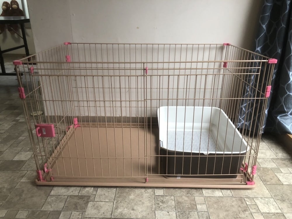 shirahama white beach house