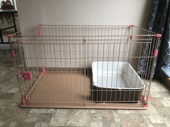 shirahama white beach house