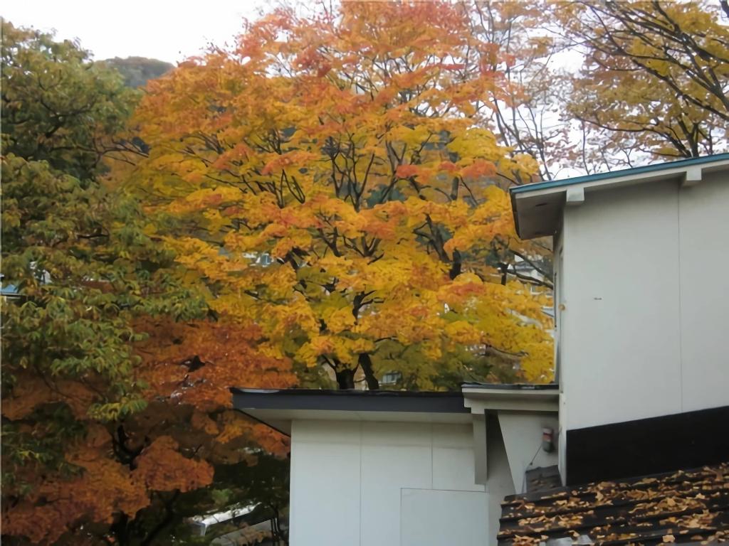 onsen guesthouse sakaeya