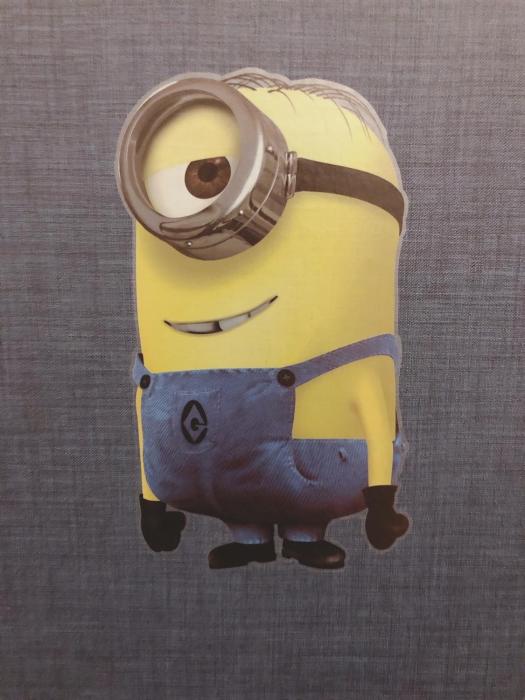 the wonder at stay bentencho