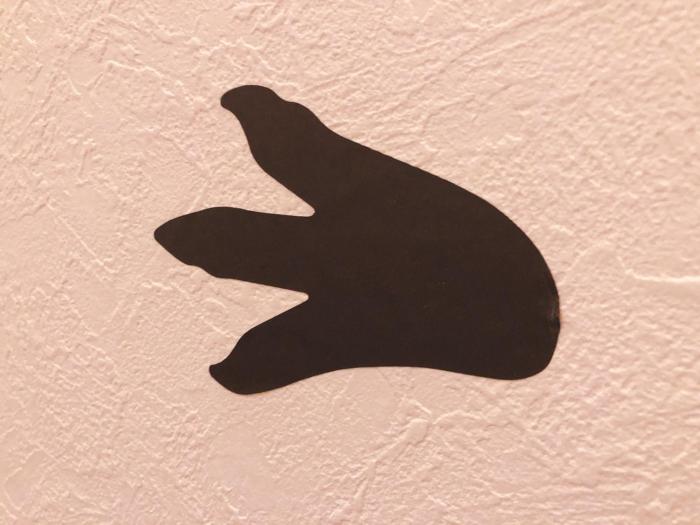 the wonder at stay bentencho