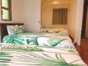 the wonder at stay bentencho