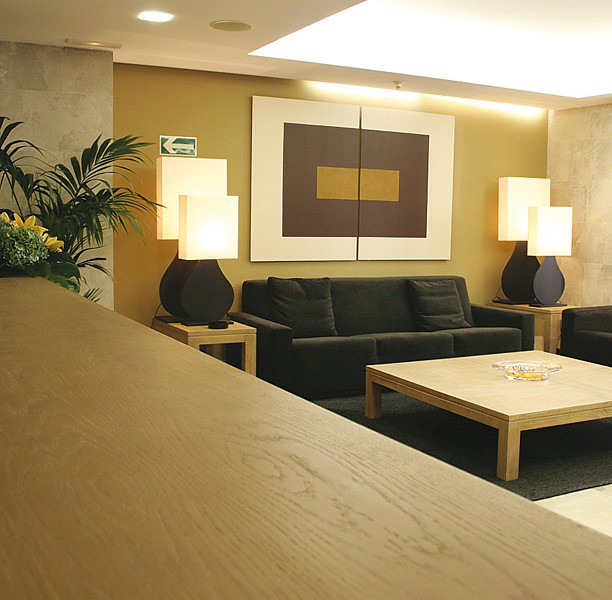 hotel centro los braseros