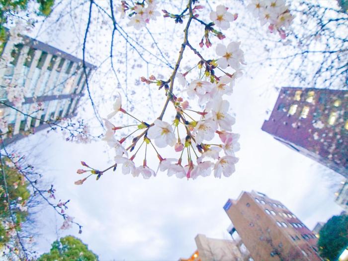 henn na hotel tokyo ginza