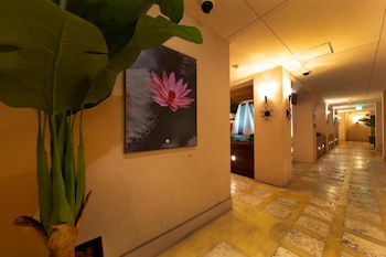 hotel lotus nara adults only