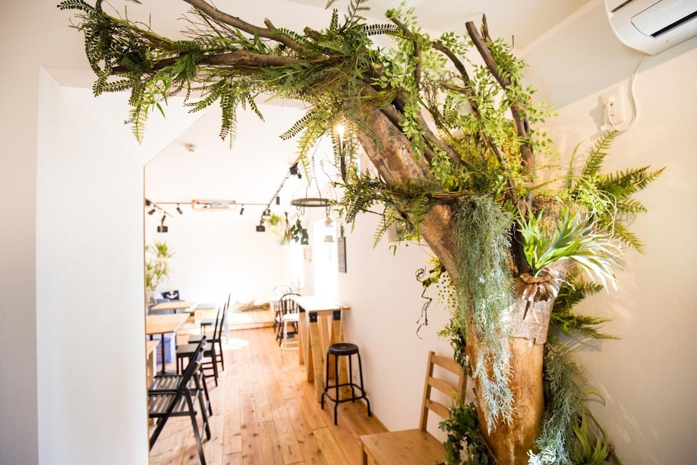 iza enoshima guesthouseandbar hostel